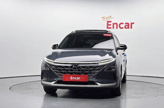 Hyundai Nexo Premium — пробег 101 461 км — фото 3 из 5