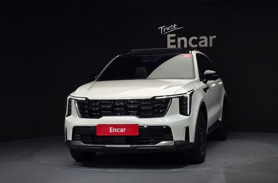 Kia Sorento HEV 1.6 2WD Gravity — пробег 10 699 км — фото 3 из 5