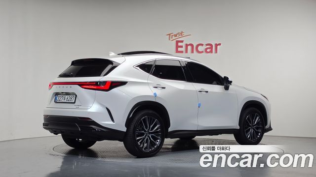 Lexus NX Luxury — пробег 13 253 км — фото 2 из 5