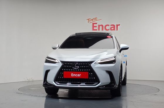 Lexus NX Luxury — пробег 13 253 км — фото 3 из 5