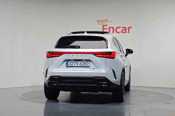 Lexus NX Luxury — пробег 13 253 км — фото 4 из 5