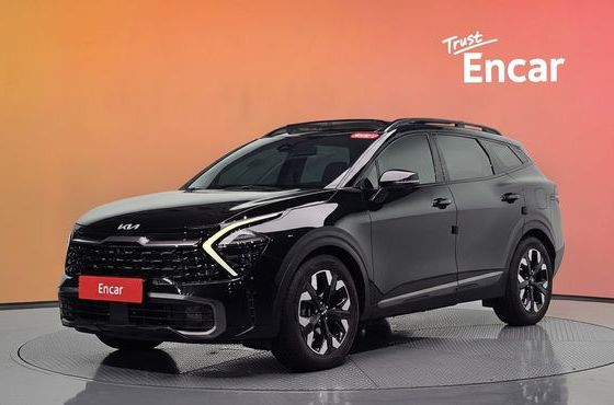 Kia Sportage Gasoline 1.6 Turbo 2WD Signature Gravity — пробег 96 646 км — фото 1 из 5