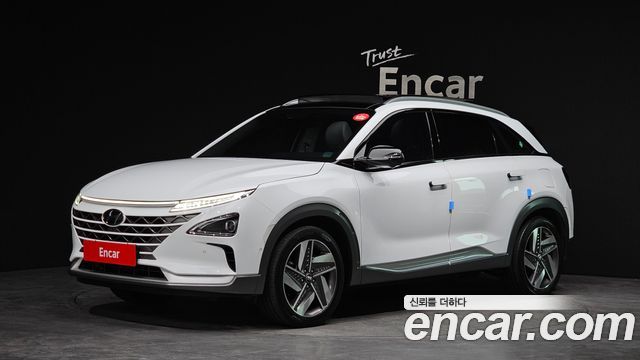 Hyundai Nexo Premium — пробег 99 770 км — фото 1 из 5