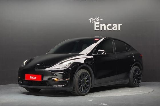 Tesla Model Y Long Range AWD — пробег 96 068 км — фото 1 из 5