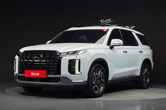 Hyundai Palisade Gasoline 3.8 4WD Le Blanc — пробег 46 153 км — фото 1 из 5