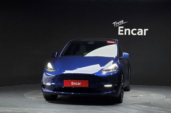 Tesla Model Y Long Range AWD — пробег 43 096 км — фото 3 из 5