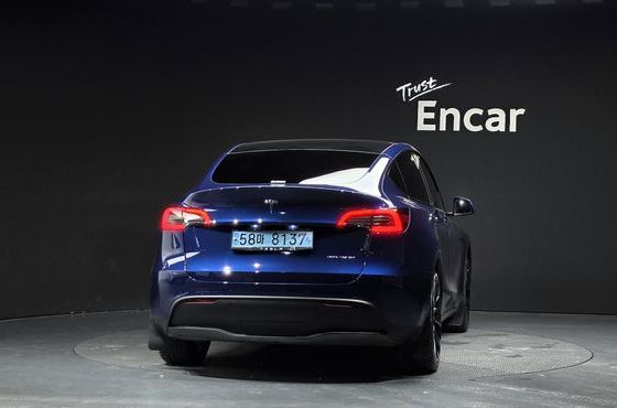 Tesla Model Y Long Range AWD — пробег 43 096 км — фото 4 из 5