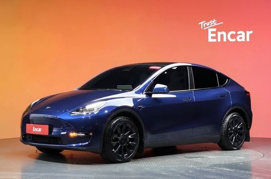 Tesla Model Y Long Range AWD — пробег 43 096 км — фото 1 из 5
