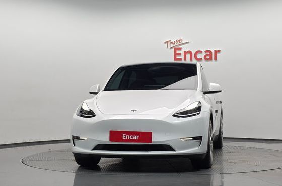 Tesla Model Y Long Range AWD — пробег 65 815 км — фото 3 из 5