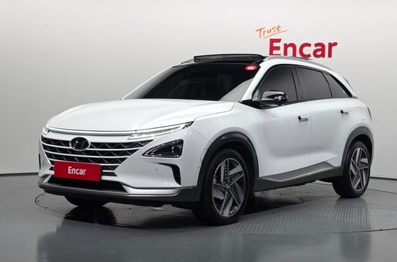 Hyundai Nexo Premium — пробег 96 339 км — фото 1 из 5