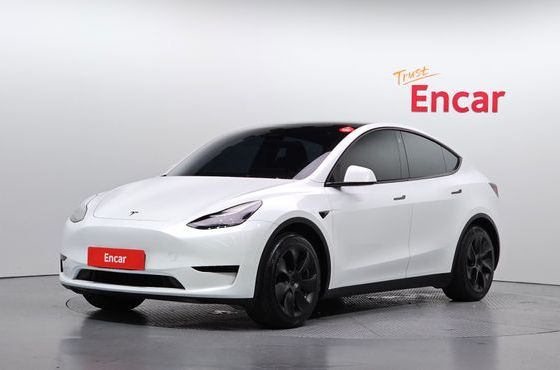 Tesla Model Y RWD — пробег 46 061 км — фото 1 из 5