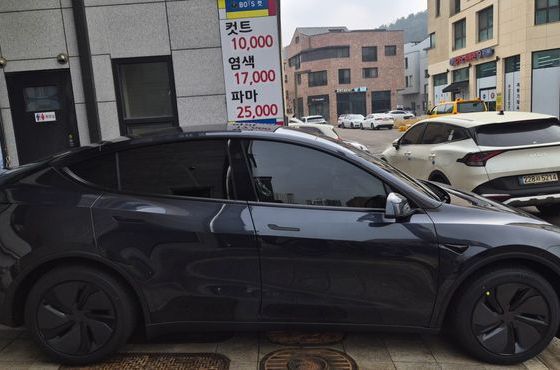Tesla Model Y RWD — пробег 10 840 км — фото 4 из 5