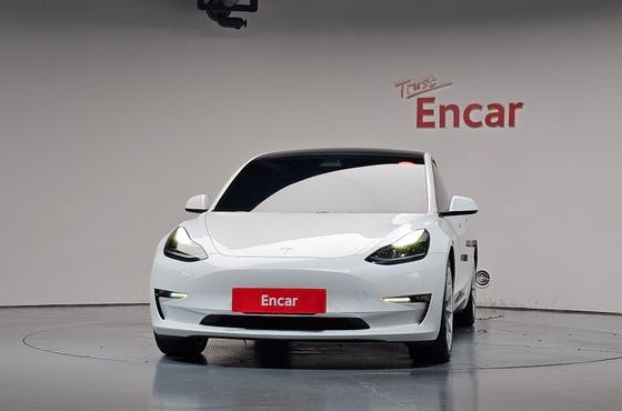 Tesla Model 3 Long Range AWD — пробег 95 642 км — фото 3 из 5