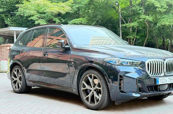 BMW X5 xDrive 40i M Sport — пробег 4 910 км — фото 3 из 5