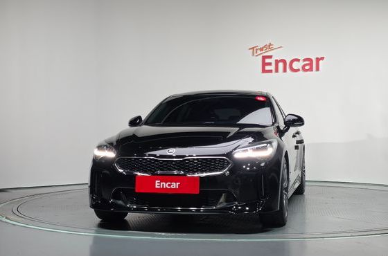 Kia Stinger 2.0 Turbo AWD Platinum — пробег 46 441 км — фото 3 из 5