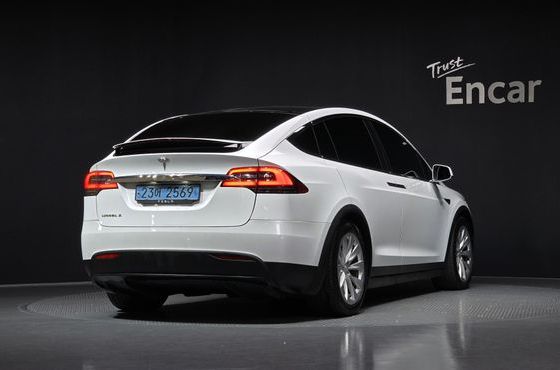 Tesla Model X 100D — пробег 240 789 км — фото 2 из 5