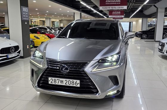 Lexus NX Executive — пробег 13 939 км — фото 1 из 5