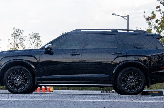 Hyundai Palisade Gasoline 2.5T 2WD 7-Seater Calligraphy — пробег 11 500 км — фото 4 из 5