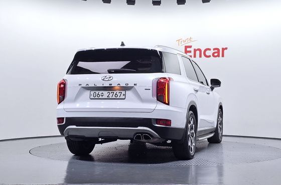 Hyundai Palisade Diesel 2.2 2WD Exclusive — пробег 115 675 км — фото 4 из 5