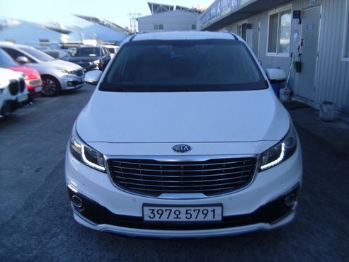 Kia Carnival 9-seater Luxury — пробег 206 209 км — фото 1 из 5