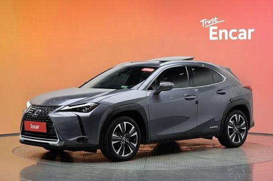 Lexus UX 2.0 AWD — пробег 54 356 км — фото 1 из 5