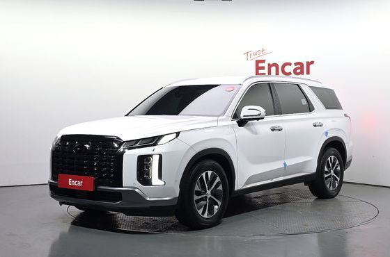 Hyundai Palisade Gasoline 3.8 4WD Le Blanc — пробег 31 361 км — фото 1 из 5