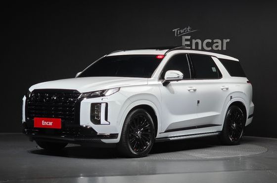 Hyundai Palisade Gasoline 3.8 4WD Calligraphy Black Edition — пробег 1 833 км — фото 1 из 5