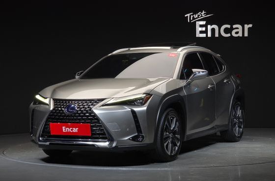 Lexus UX 2.0 AWD — пробег 99 171 км — фото 1 из 5