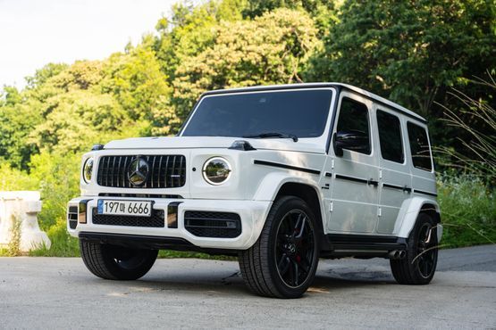 Mercedes-Benz G-Class AMG G63 Edition — пробег 29 000 км — фото 2 из 5