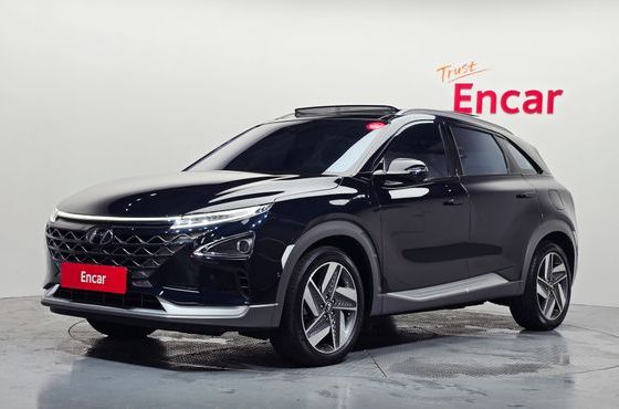Hyundai Nexo Premium — пробег 19 916 км — фото 1 из 5
