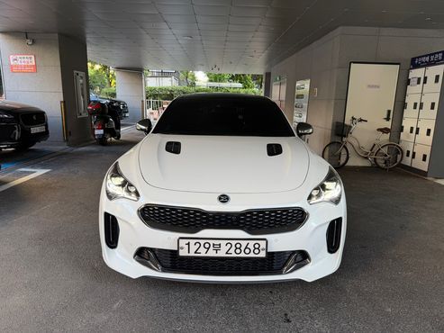 Kia Stinger 2.0 Turbo 2WD Platinum — пробег 69 186 км — фото 2 из 5