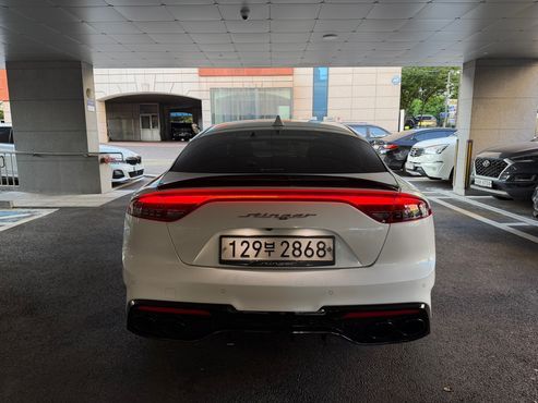 Kia Stinger 2.0 Turbo 2WD Platinum — пробег 69 186 км — фото 5 из 5