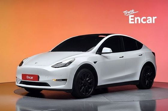 Tesla Model Y Long Range AWD — пробег 73 588 км — фото 1 из 5