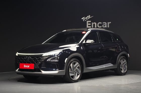 Hyundai Nexo Premium — пробег 89 669 км — фото 1 из 5