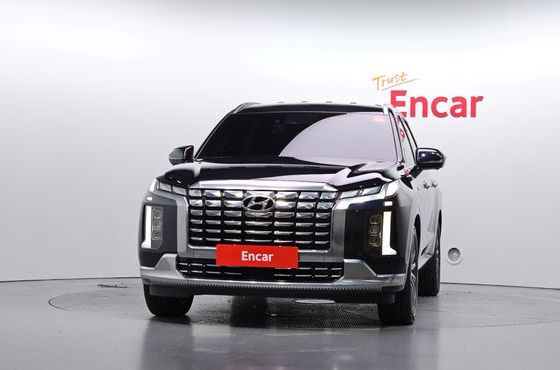 Hyundai Palisade Diesel 2.2 2WD VIP — пробег 46 774 км — фото 3 из 5