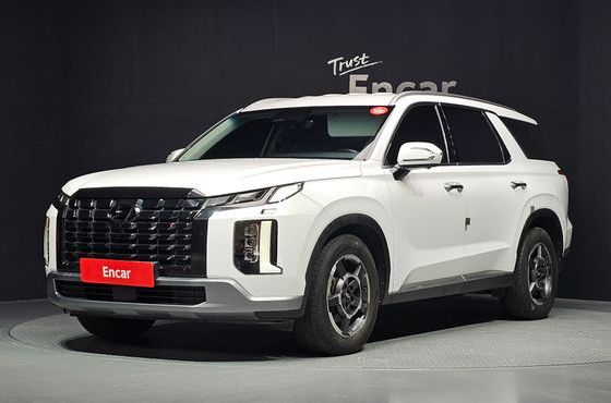 Hyundai Palisade Gasoline 3.8 2WD Exclusive — пробег 131 393 км — фото 1 из 5