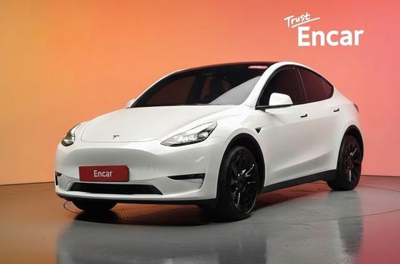 Tesla Model Y Long Range AWD — пробег 36 713 км — фото 1 из 5