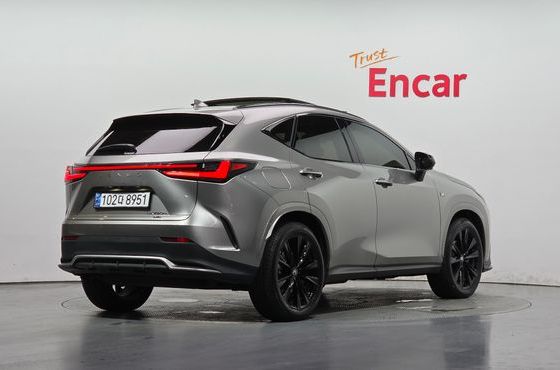 Lexus NX F-Sport — пробег 20 071 км — фото 2 из 5