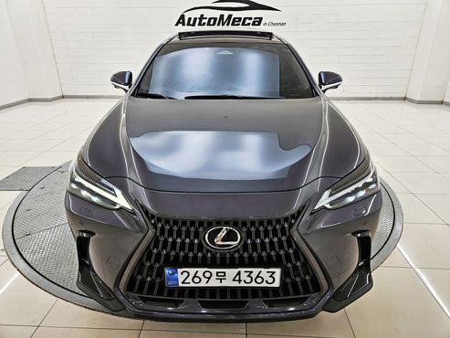 Lexus NX Luxury — пробег 38 958 км — фото 1 из 5