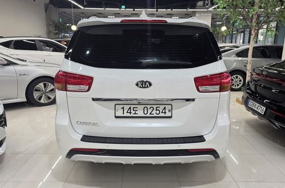 Kia Carnival 9-seater Luxury — пробег 180 830 км — фото 5 из 5