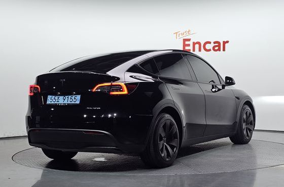 Tesla Model Y Long Range AWD — пробег 61 342 км — фото 2 из 5