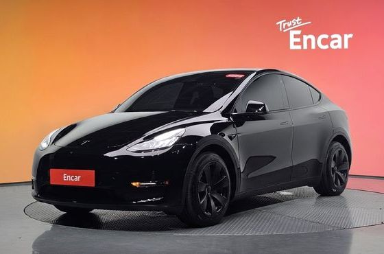 Tesla Model Y Long Range AWD — пробег 61 342 км — фото 1 из 5