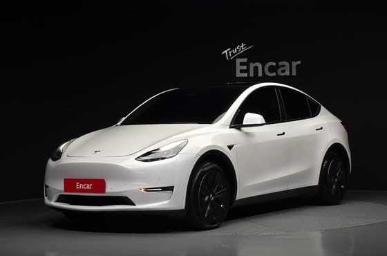 Tesla Model Y Long Range AWD — пробег 120 158 км — фото 1 из 5