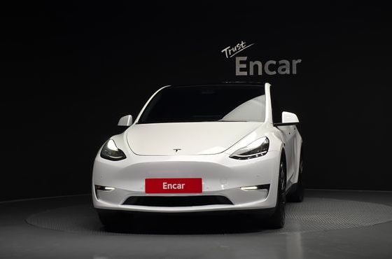 Tesla Model Y Long Range AWD — пробег 120 158 км — фото 3 из 5