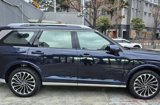 Hyundai Palisade HEV 2.5T 4WD 7-Seater Calligraphy — пробег 11 900 км — фото 5 из 5