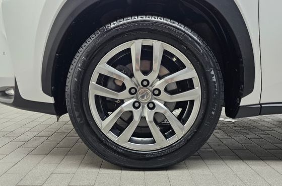 Lexus NX Supreme — пробег 217 175 км — фото 5 из 5