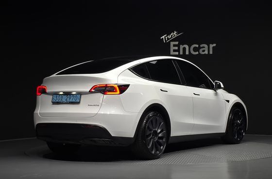 Tesla Model Y Performance AWD — пробег 56 603 км — фото 2 из 5