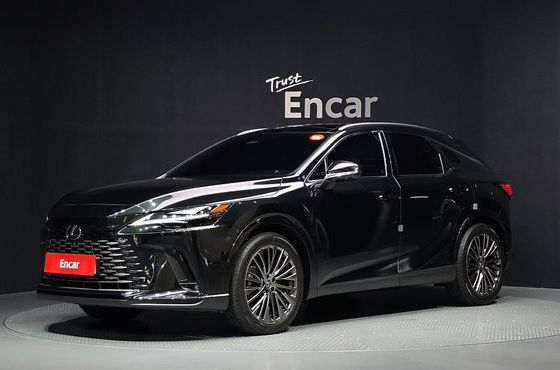 Lexus RX Luxury — пробег 12 242 км — фото 1 из 5