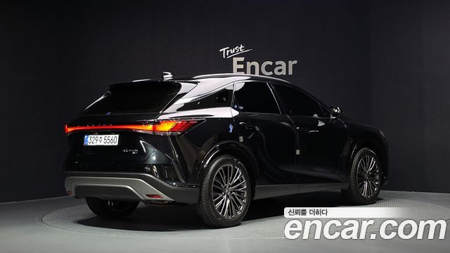 Lexus RX Luxury — пробег 12 242 км — фото 2 из 5