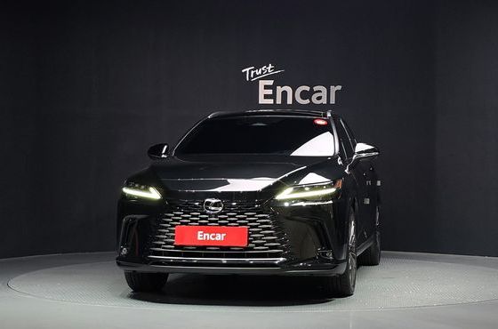 Lexus RX Luxury — пробег 12 242 км — фото 3 из 5